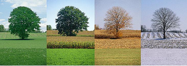 《四海兄弟：故乡》将于2025年8月8日发售 官方游戏预告片首度曝光