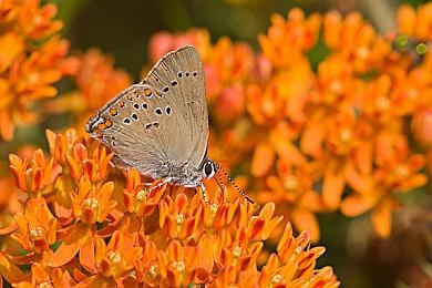 《死亡循环》成为首款支持AMD FSR 2.0的游戏 5月12日上线