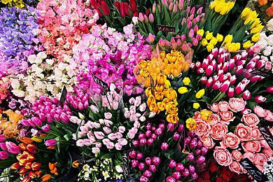 《寂静岭f》通过ESRB评级 游戏十分血腥暴力